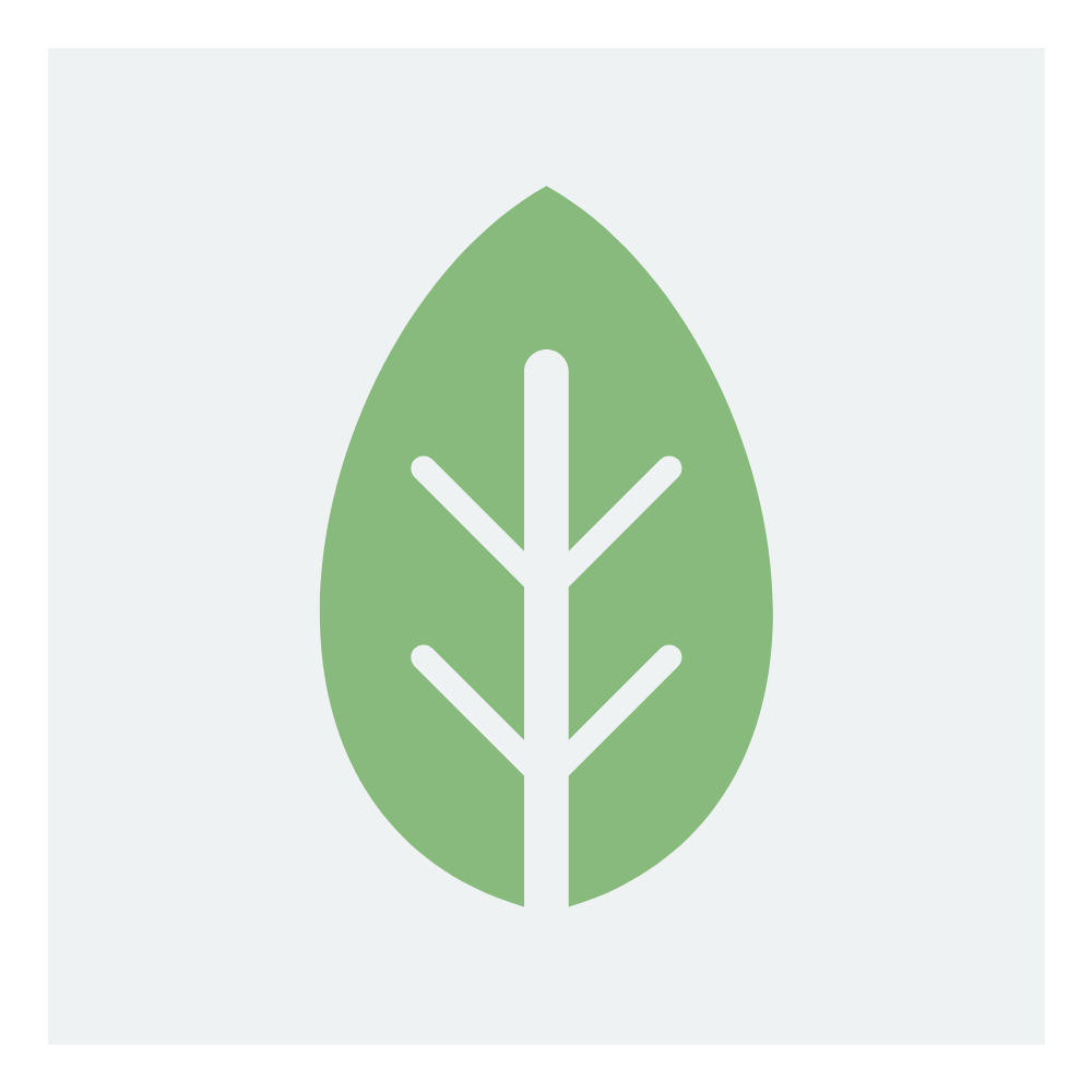 icon2